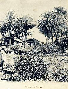 Ferme en Oranie